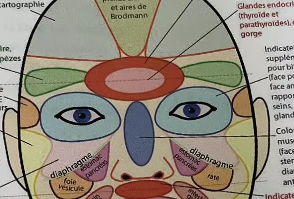 Illustration de Réflexologie faciale