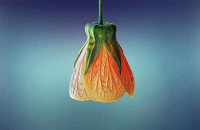 Illustration de 
